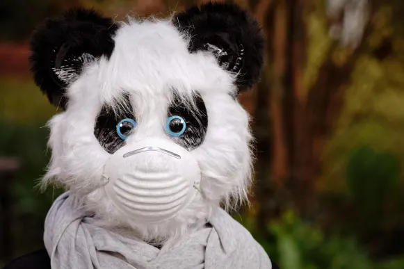 Казино Кибър Бинго Поддръжка